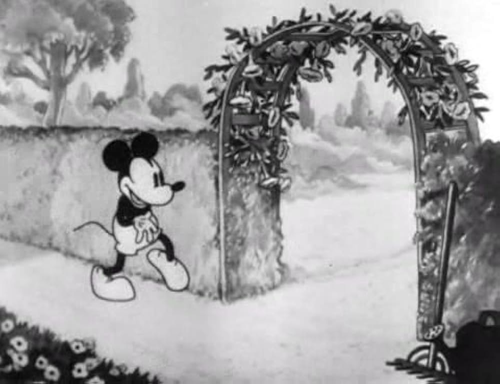 ミッキーの植木屋の画像