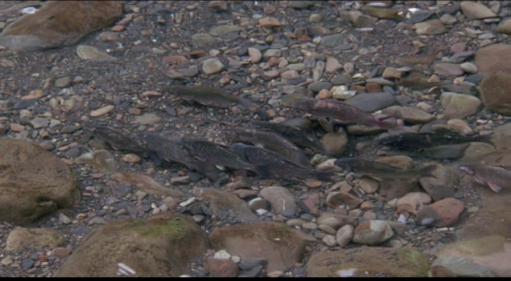 続・女淫地獄絵巻の画像