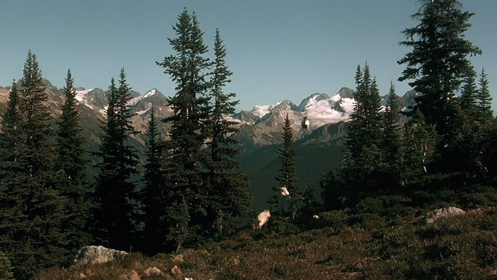 バッド・アス ジャスティス・リターンズの画像