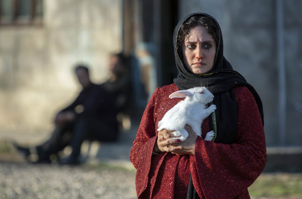 ティティの画像