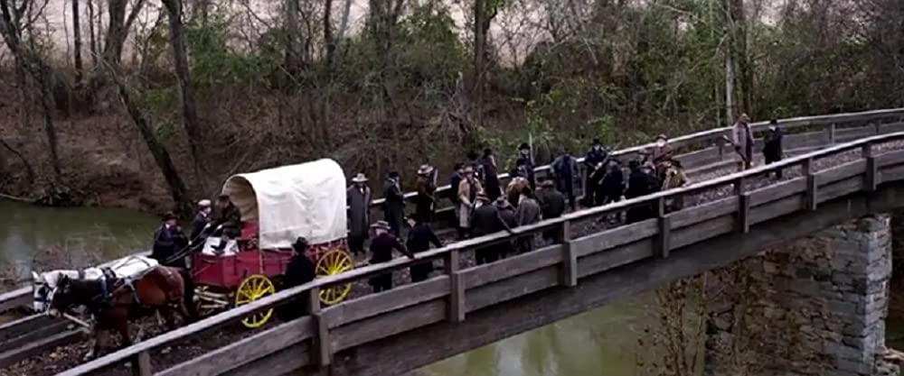 ハリエットの画像