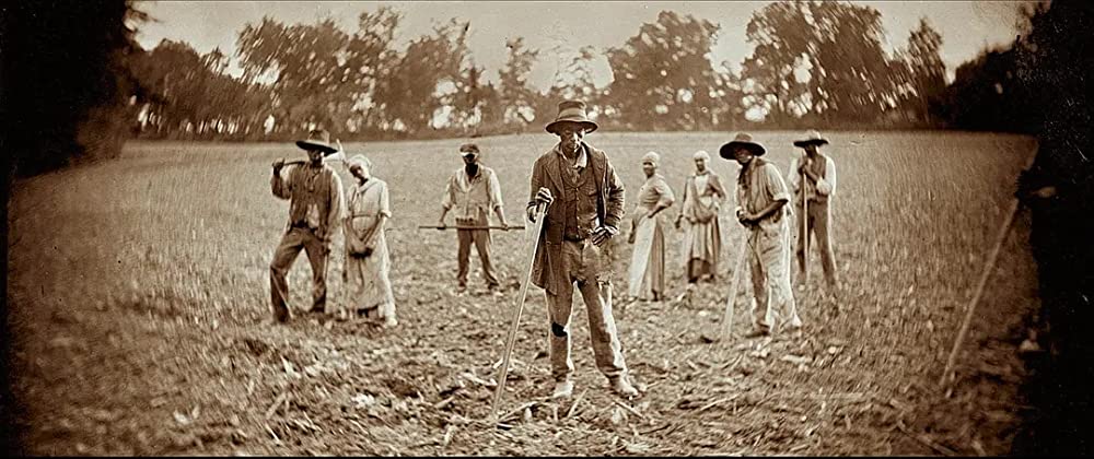 ハリエットの画像