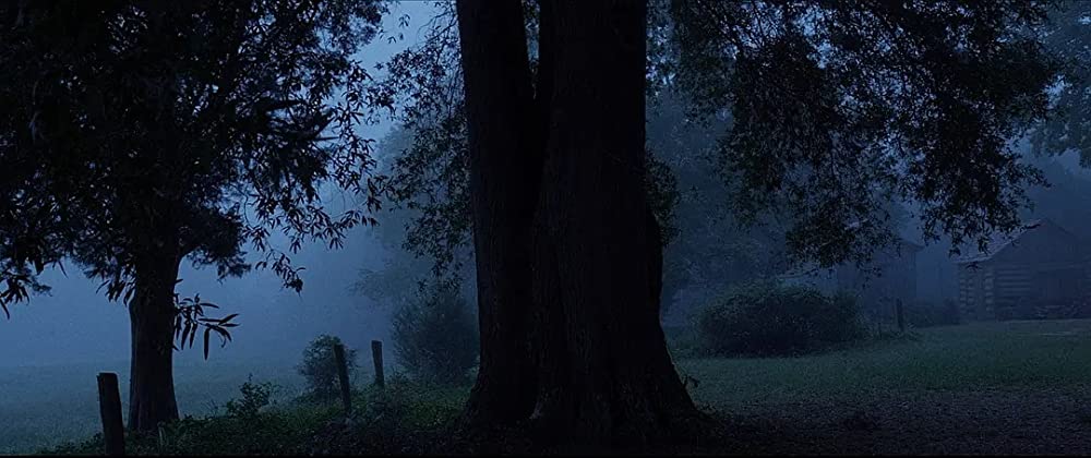 ハリエットの画像