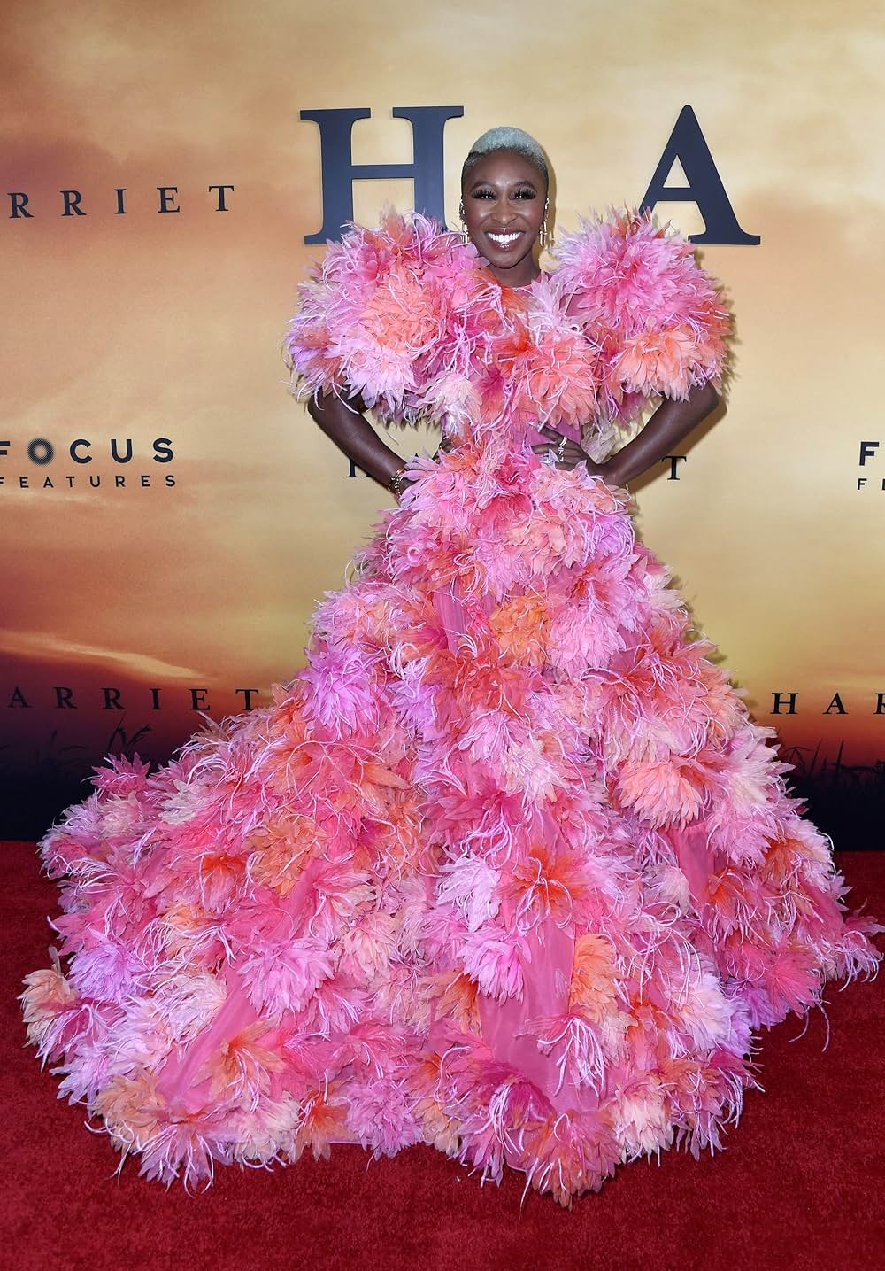 ハリエットの画像