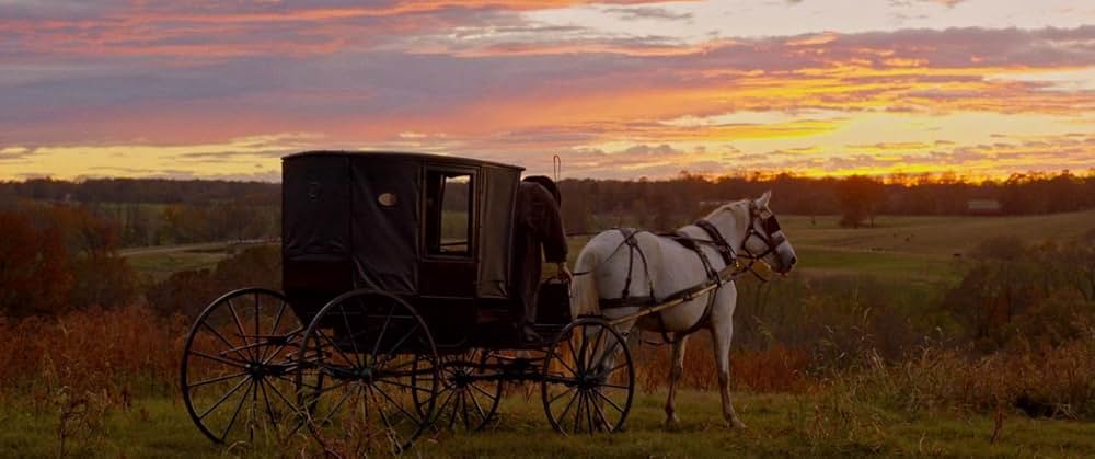 ハリエットの画像