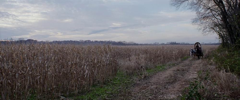 ハリエットの画像