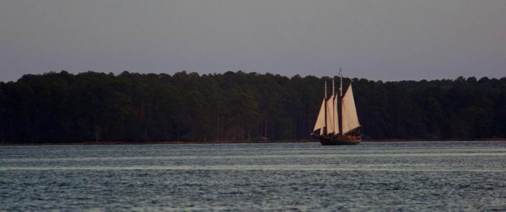 ハリエットの画像