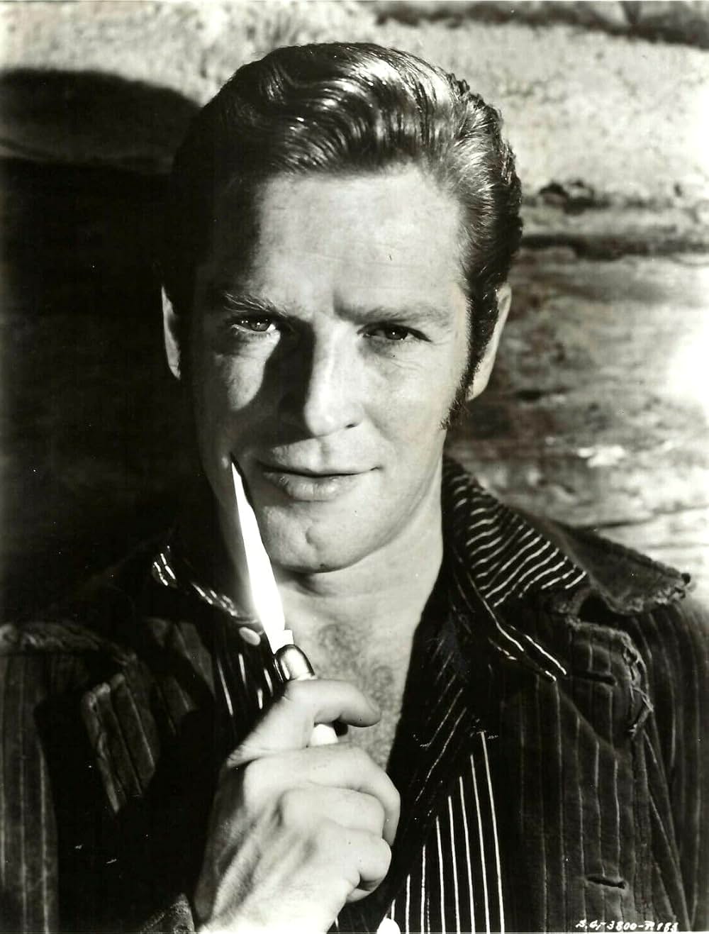 山のロザンナの画像