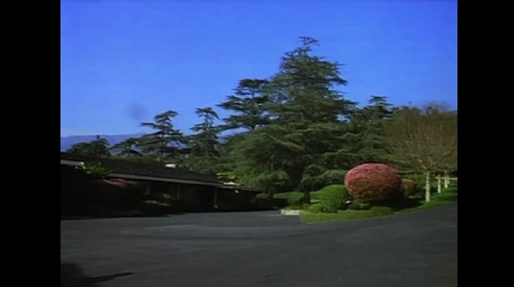 炎のマーシャルアーツの画像