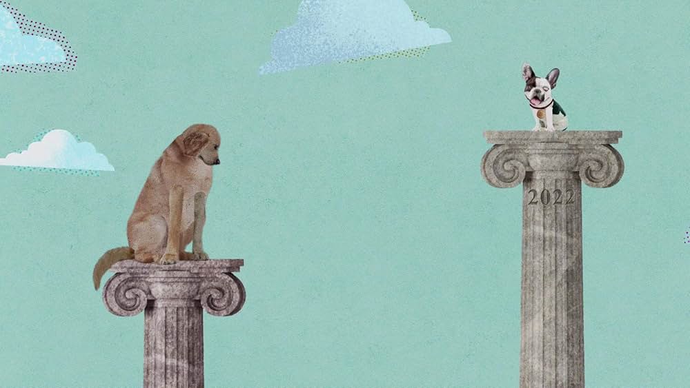 教えて? イヌのココロの画像