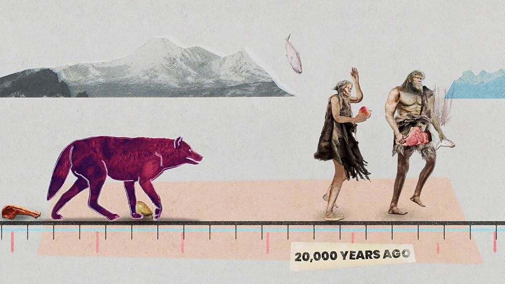 教えて? イヌのココロの画像