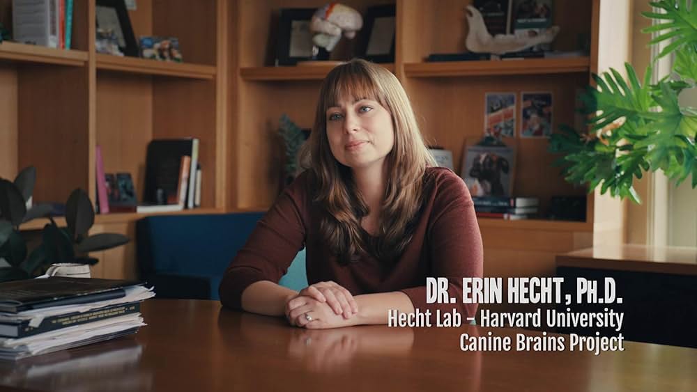 教えて? イヌのココロの画像