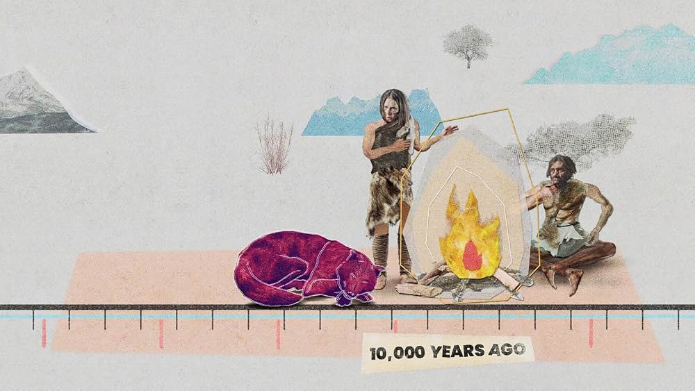 教えて? イヌのココロの画像