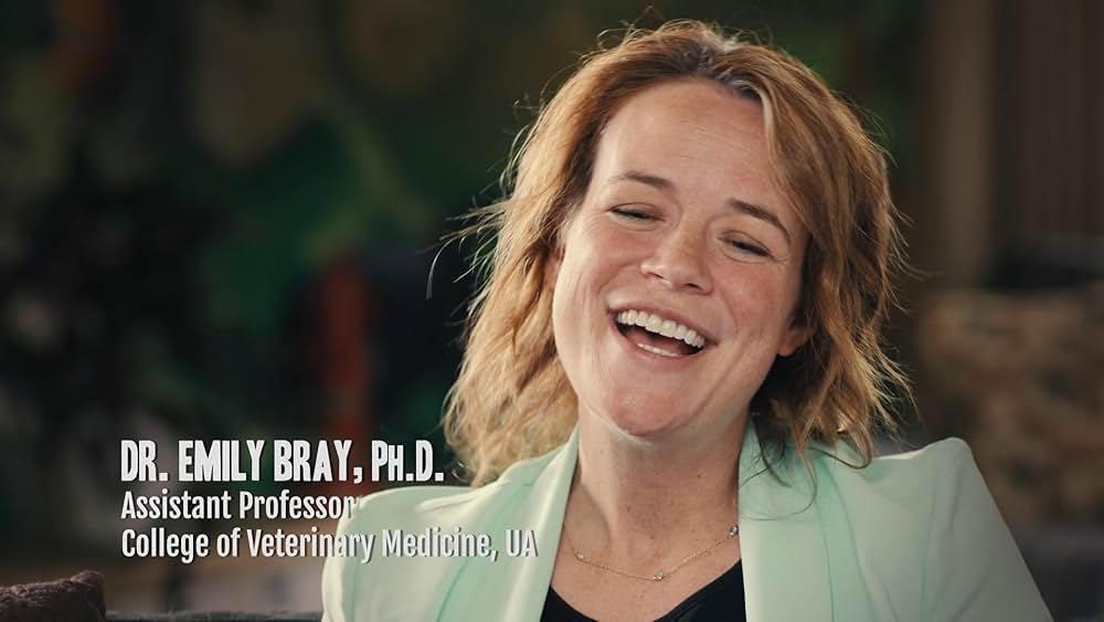 教えて? イヌのココロの画像