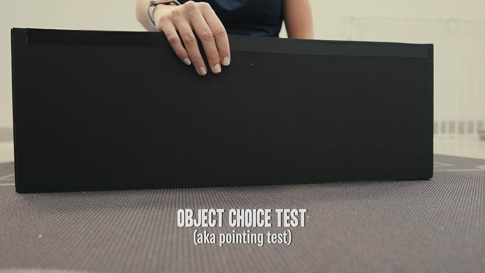 教えて? イヌのココロの画像