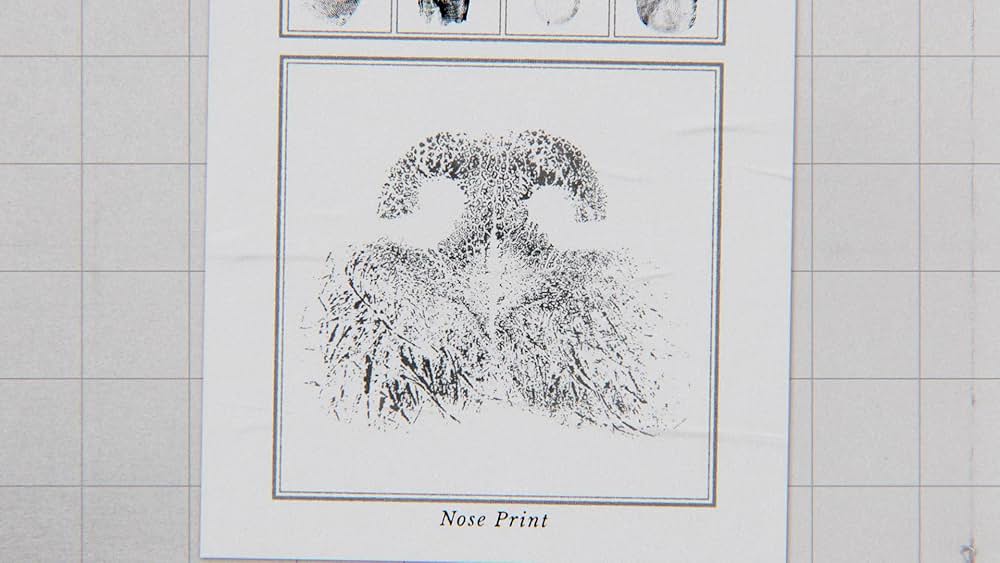 教えて? イヌのココロの画像