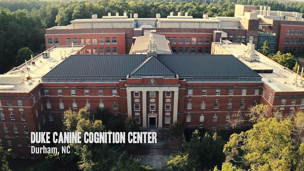 教えて? イヌのココロの画像