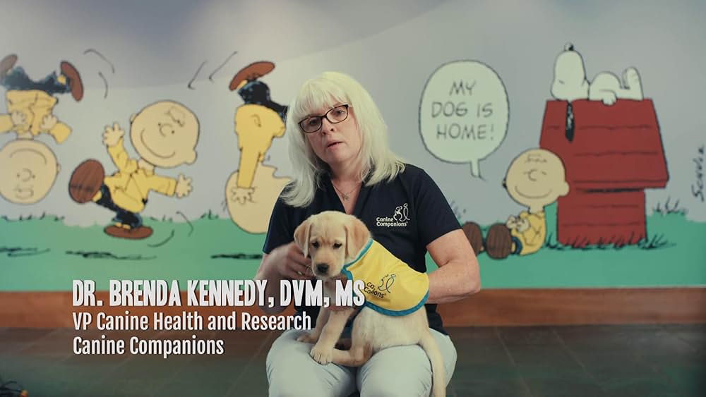 教えて? イヌのココロの画像