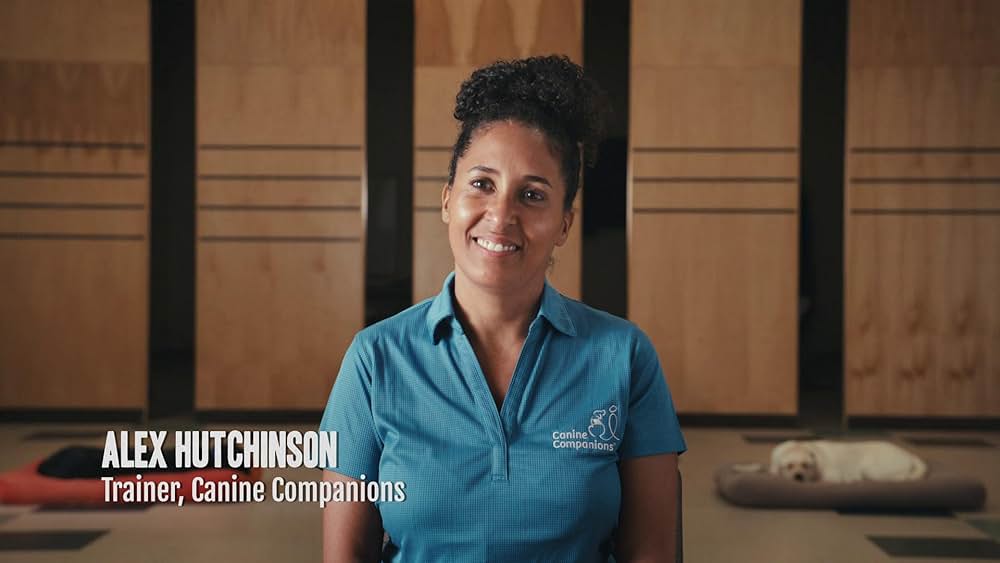 教えて? イヌのココロの画像