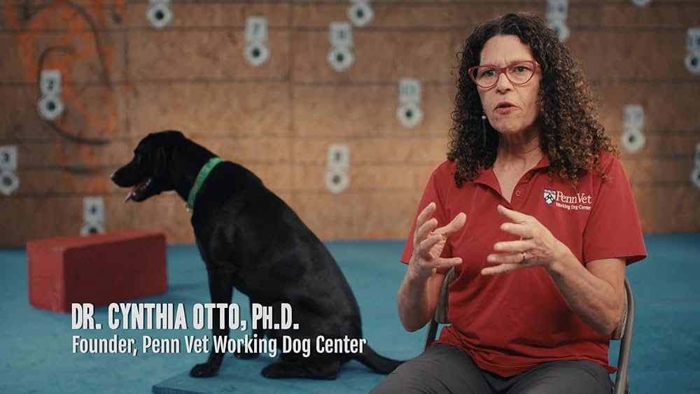 教えて? イヌのココロの画像