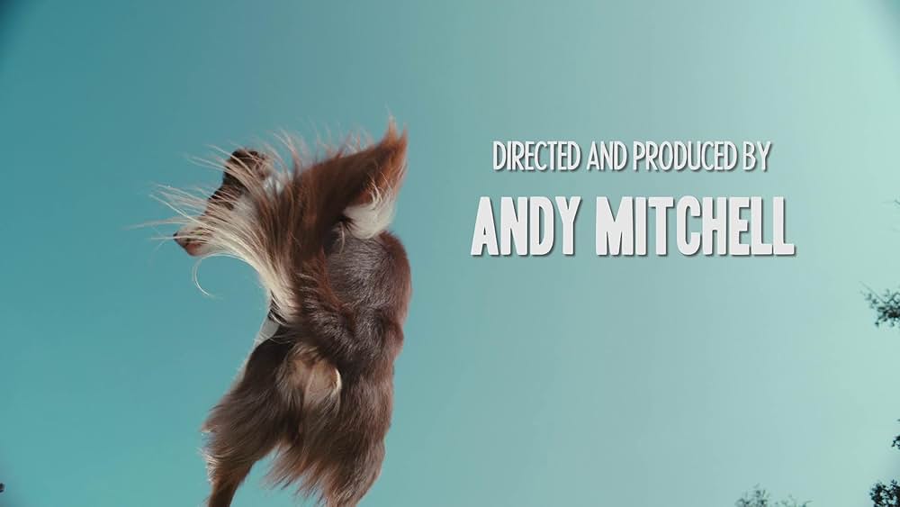 教えて? イヌのココロの画像