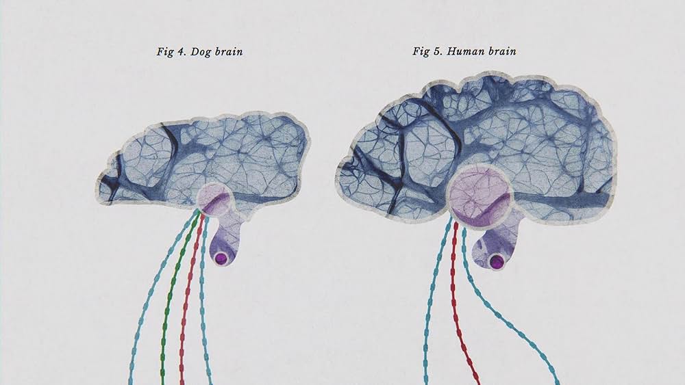 教えて? イヌのココロの画像