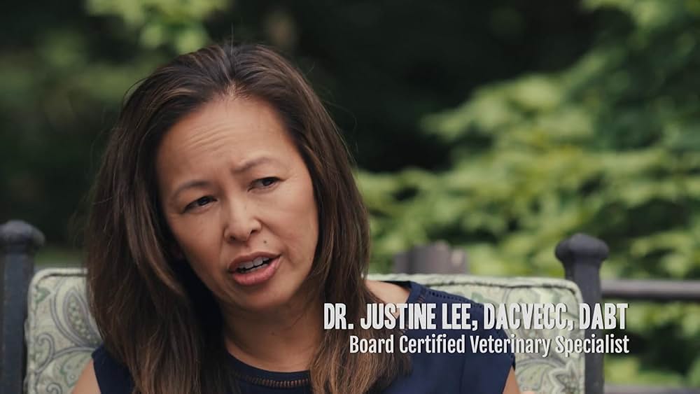 教えて? イヌのココロの画像