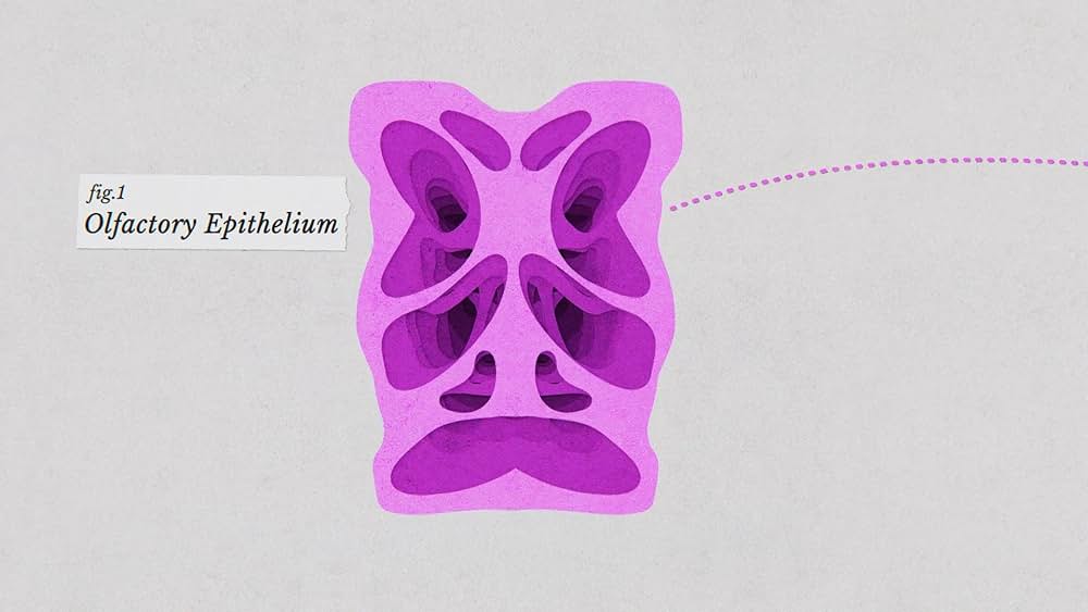 教えて? イヌのココロの画像