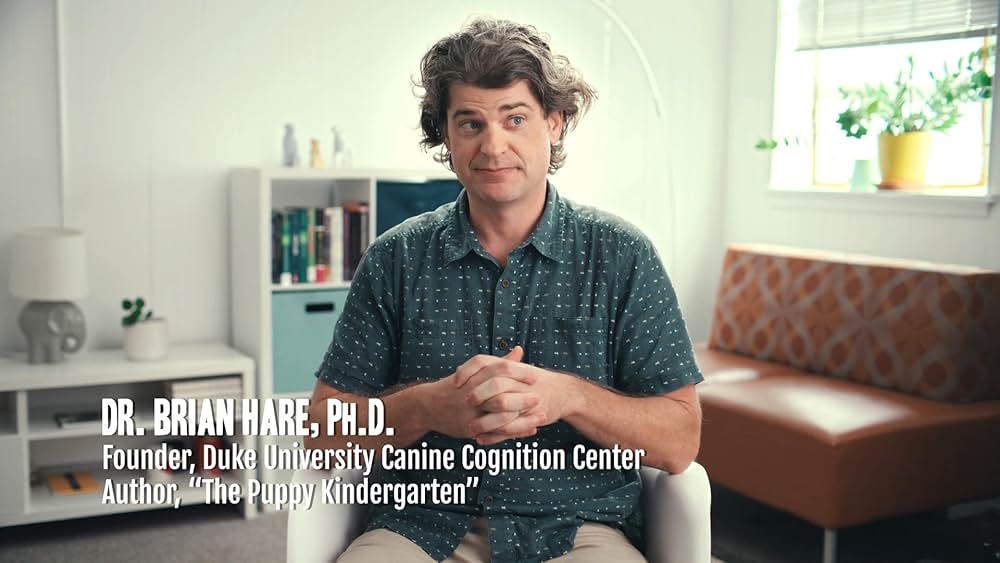 教えて? イヌのココロの画像