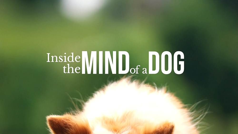 教えて? イヌのココロの画像