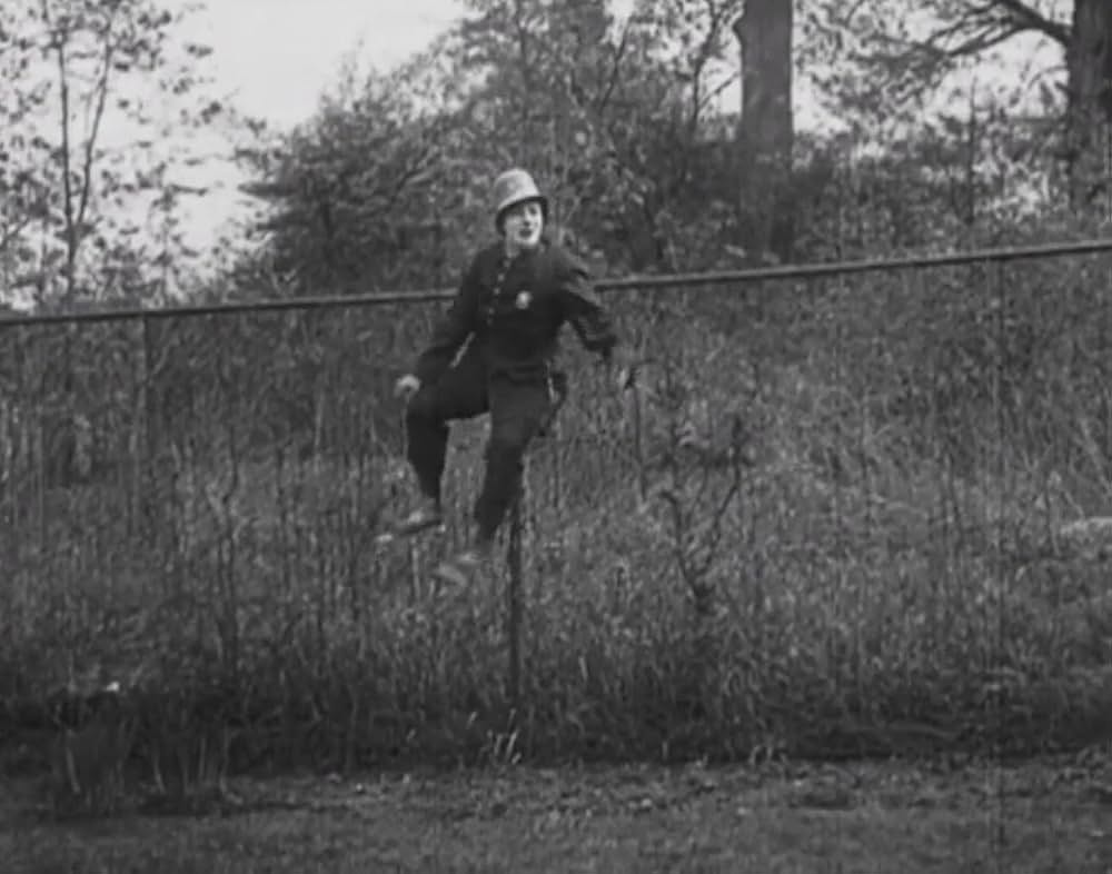 デブ君の入婿の画像