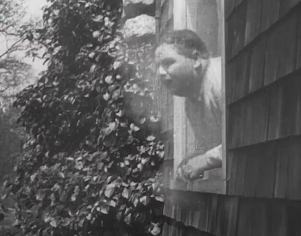 デブ君の入婿の画像