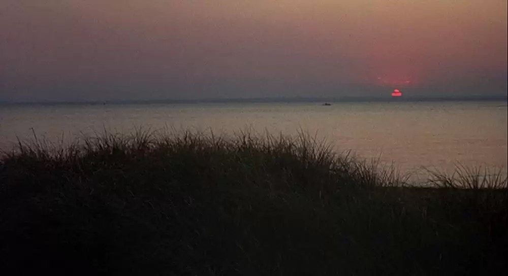 アニー・ホールの画像