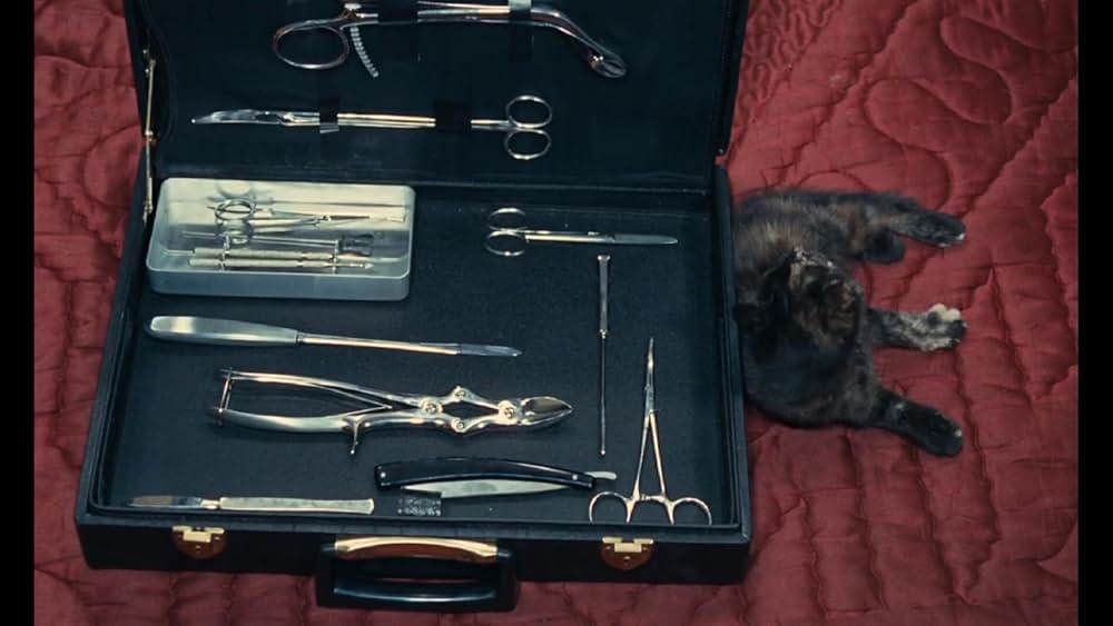 Juliet dans Paris（原題）の画像