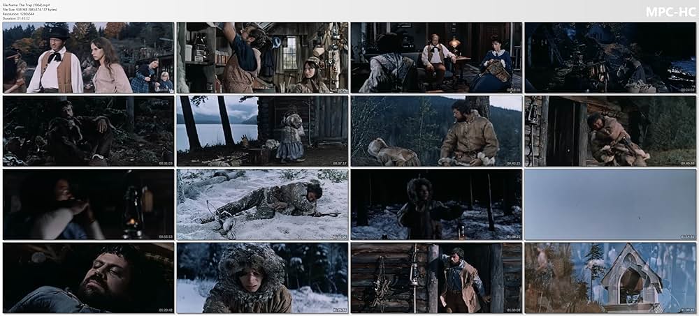 野獣の抱擁の画像