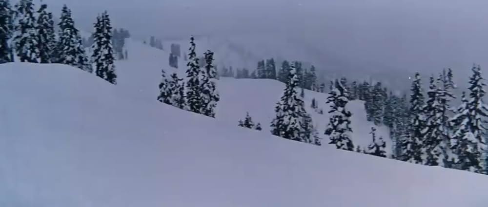 野獣の抱擁の画像