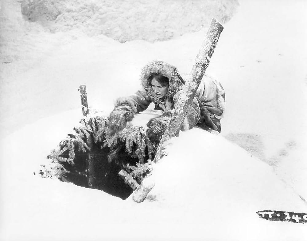 野獣の抱擁の画像