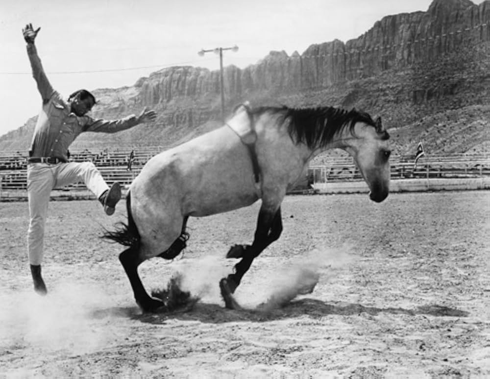 夏の日にさよならの画像