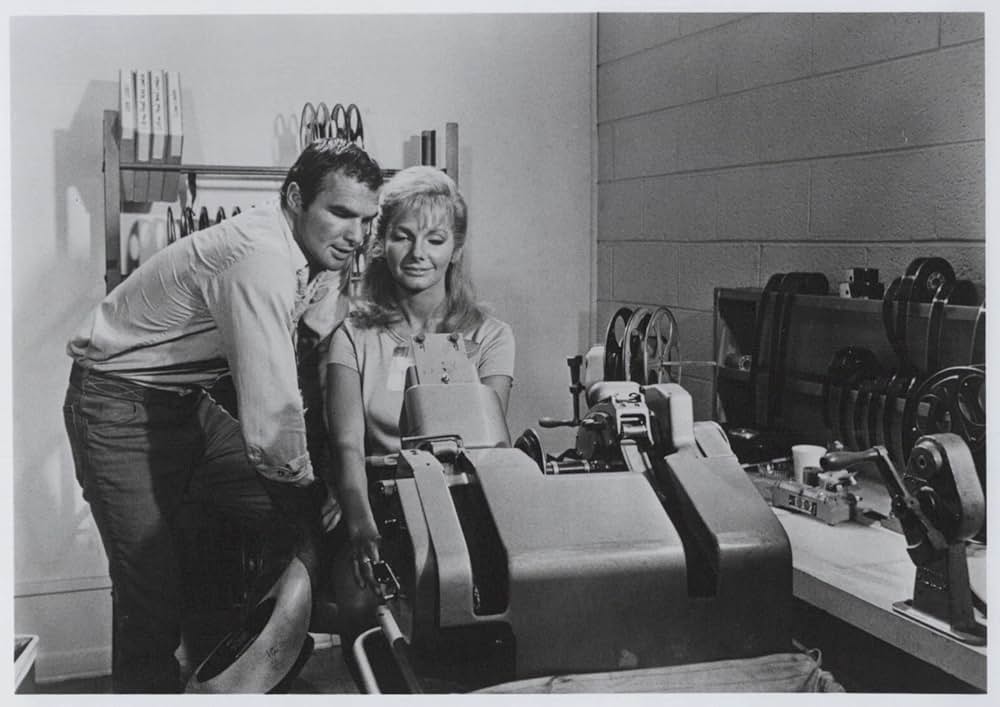 夏の日にさよならの画像