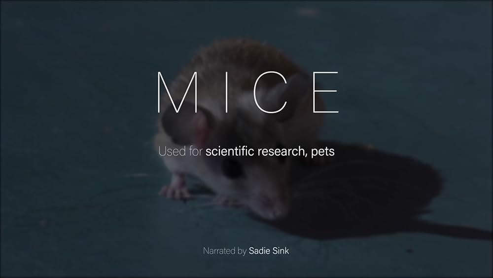 Dominion（原題）の画像