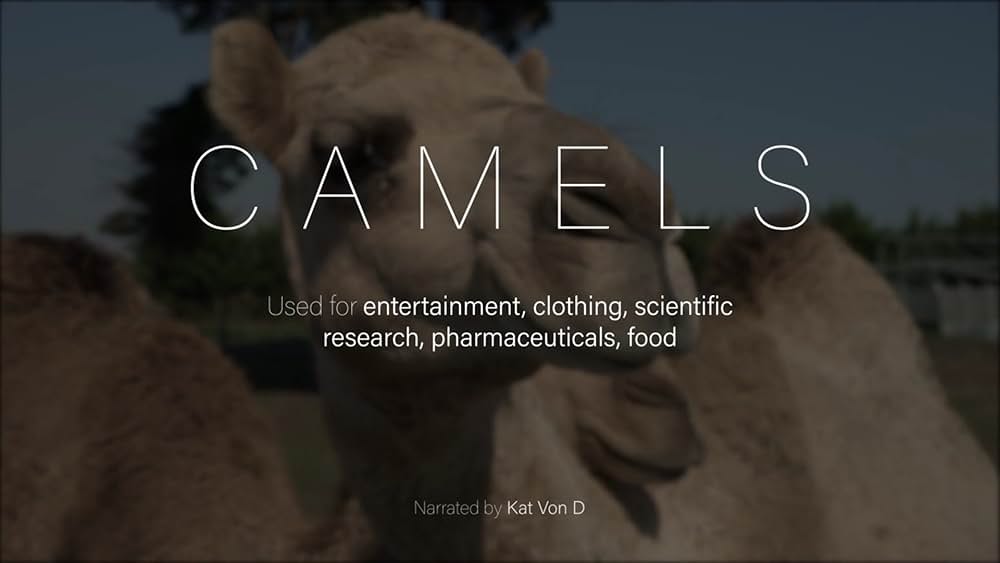 Dominion（原題）の画像