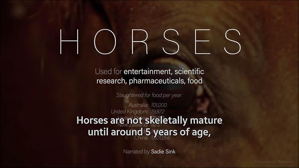 Dominion（原題）の画像