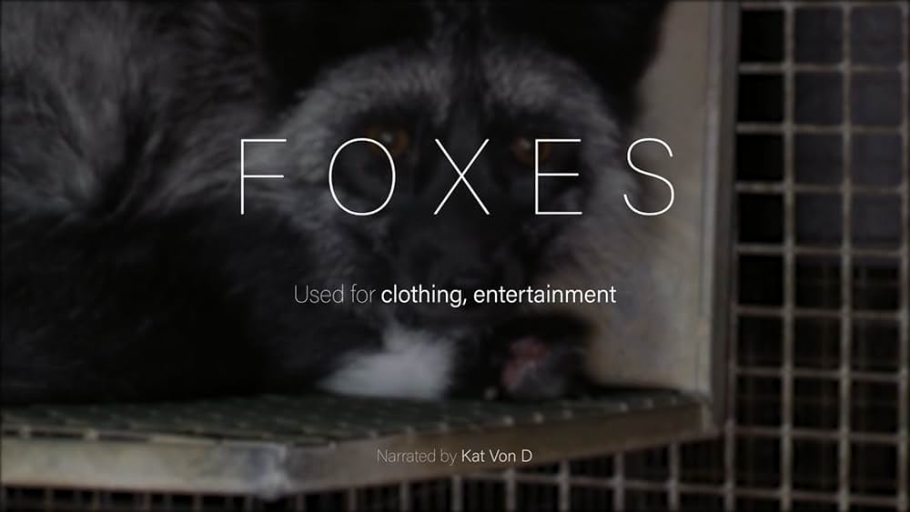 Dominion（原題）の画像