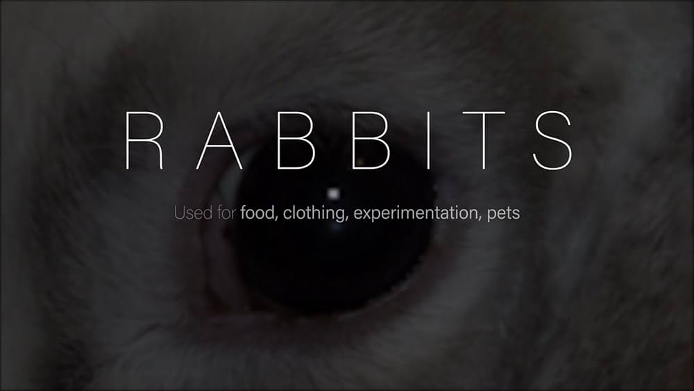 Dominion（原題）の画像