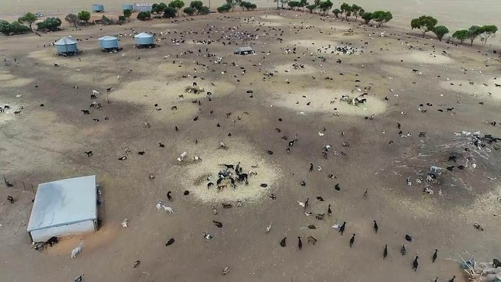 Dominion（原題）の画像