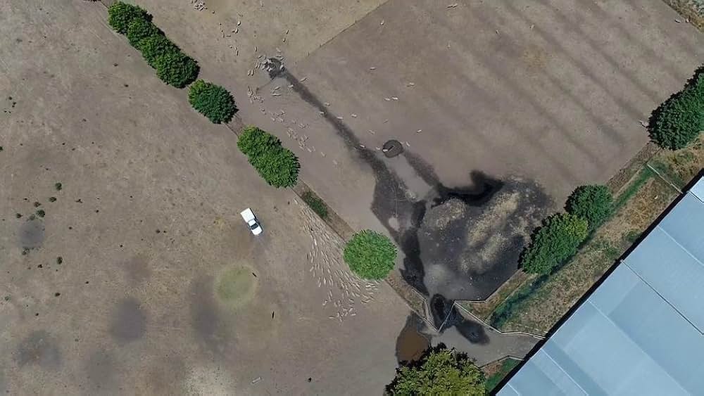 Dominion（原題）の画像