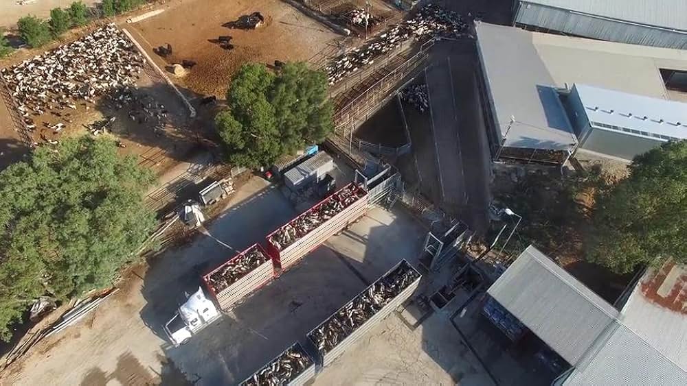 Dominion（原題）の画像