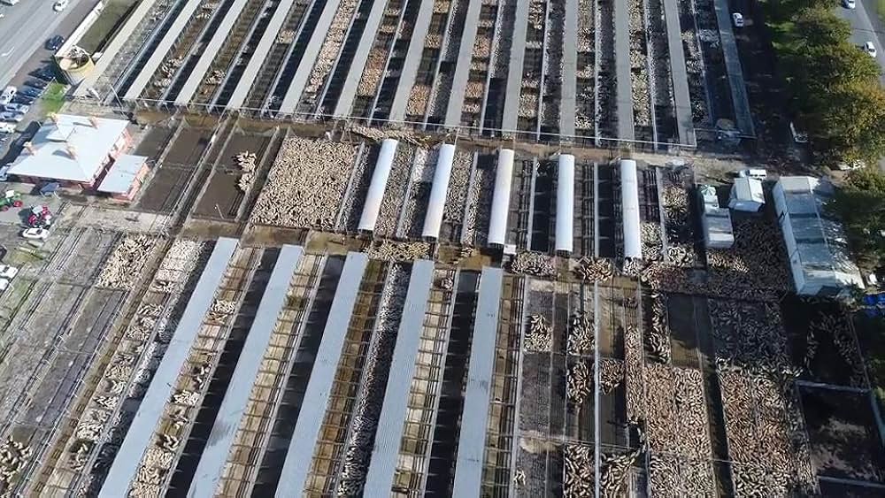 Dominion（原題）の画像