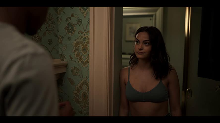 「デンジャラス・ライ」カミラ・メンデスの画像