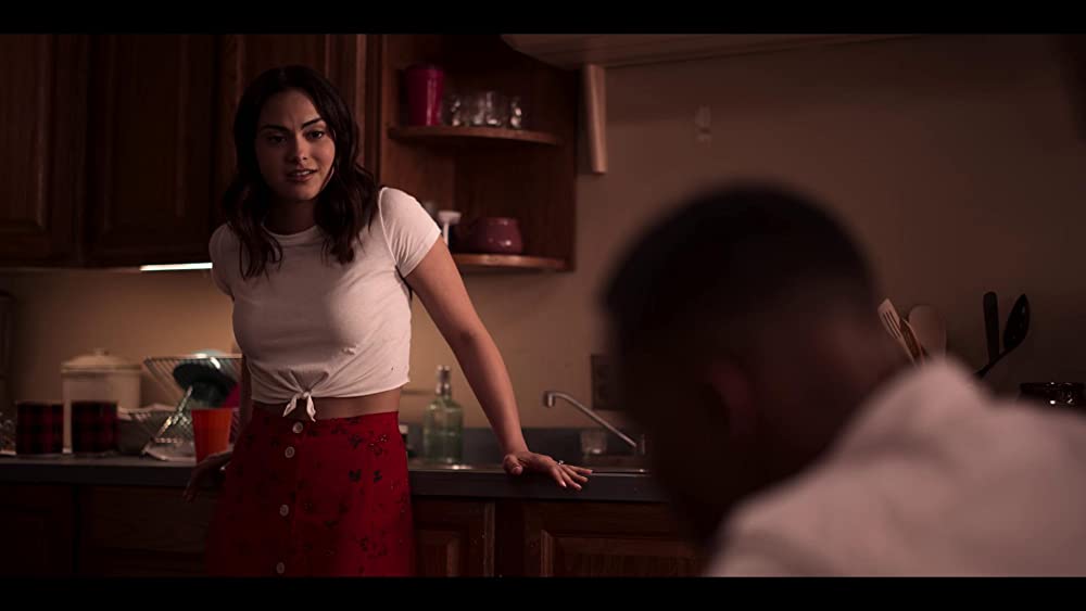 「デンジャラス・ライ」カミラ・メンデスの画像